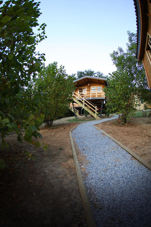 Ecolodge Langhe ケラスコ エクステリア 写真